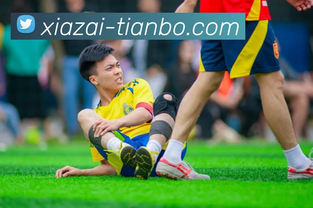 App Interface Preview